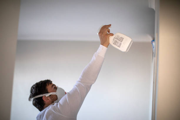 Best Residential Mold Removal  in Madison, NE